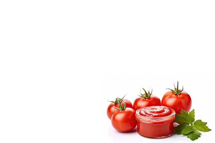 Tomato Paste – Tins – Egyptian export